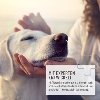 ReaVet Morovet Instant-Pulver für Hunde, 300g-Packung. Unterstützt die Verdauung mit Karotte und Topinambur. Hergestellt in Deutschland.