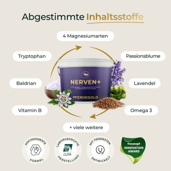 Violette Dose ‚NERVEN+ PFERDEGOLD‘ unter der Überschrift ‚Abgestimmte Inhaltsstoffe‘ mit Schlagworten wie Tryptophan, Lavendel und Omega-3.