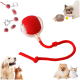 Rotes Gummispielzeug für Haustiere mit einer klaren Hülle und einem roten Seil, umgeben von Bildern eines Hundes, einer Katze und einem verspielten Kätzchen.