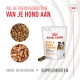 Royal Canin Skin & Coat Chews voor honden, 60 stuks, met afbeeldingen van brokjes en kauwproducten, en tekst die voedingsvoordelen promoot.