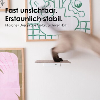 Eine flauschige Maine Coon Katze sitzt auf einem schwarzen Regal vor einer blauen Wand, mit einer sichtbaren Topfpflanze darunter.
