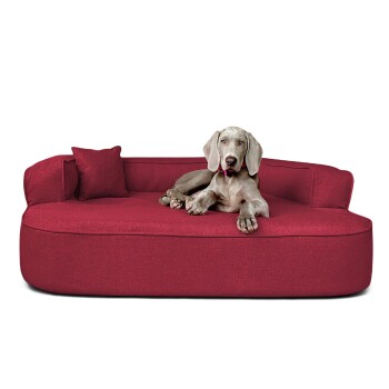Ein komfortables rotes Hundesofa mit einem passenden Kissen, mit einem entspannten Hund, der darauf liegt, vor einer strukturierten grauen Wand.