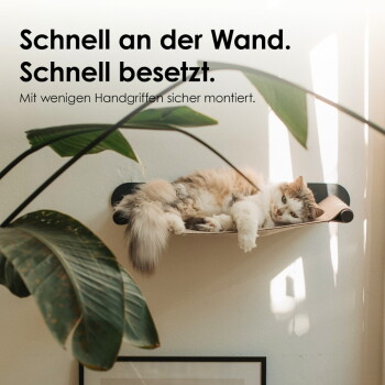 Flauschige Katze auf wandmontiertem Hängemattenregal mit großen Pflanzenblättern; sichtbarer Text: 'Schnell an der Wand. Schnell besetzt.'