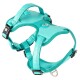Türkisfarbenes Hundegeschirr mit verstellbaren Riemen, Griff und "HURTTA" Logo auf Schnalle und mittlerem Knopf.