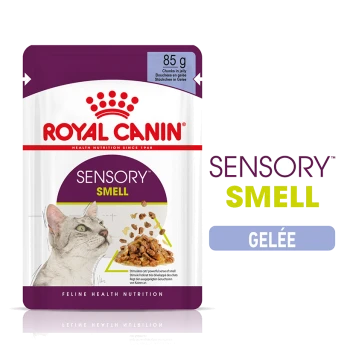 Pochette de nourriture pour chats Royal Canin Sensory Smell, 85g, avec des morceaux en gelée, avec une image de chat et un texte mettant en avant la stimulation sensorielle.
