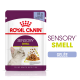 Pochette de nourriture pour chats Royal Canin Sensory Smell, 85g, avec des morceaux en gelée, avec une image de chat et un texte mettant en avant la stimulation sensorielle.