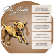 Illustration eines laufenden Hundes mit Text, der die Vorteile von Haustierfutter hervorhebt: keine Zusatzstoffe, Gelenkunterstützung, gesunde Haut, Omega-3-Fettsäuren, empfindliche Mägen.