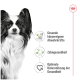 Ein schwarz-weißer Papillon-Hund mit großen Ohren, begleitet von Symbolen und Text zu Gesundheitsvorteilen: "Gesundes Immunsystem", "Zahngesundheit", "Optimale Unterstützung."