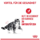 Eine flauschige grau-weiße Katze, die geht, mit Text, der sagt "Vorteil für die Gesundheit" und "Hilft, die Gesundheit der Harnwege zu unterstützen."