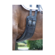 Nahaufnahme eines schwarzen Ledergurtes, der an einem Pferd befestigt ist, mit verstellbaren Riemen und einem Diamantlogo, vor einem verschwommenen grünen Hintergrund.