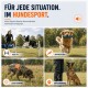 Poster 'FÜR JEDE SITUATION. IM HUNDESPORT.' mit Abbildungen von Agility-, Apportier-, Jagd- und Gehorsamkeitshunden.