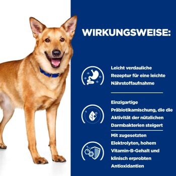 Goldbrauner Hund steht neben deutschem Text, der Verdauungsgesundheit und Probiotika für Haustiere beschreibt.