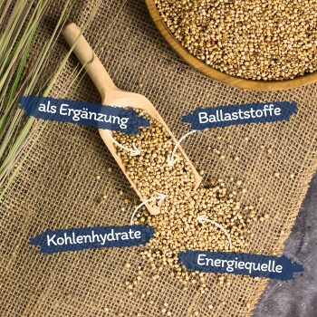 Eine Holzschaufel mit Samen, die auf Jute fällt, mit Etiketten für "als Ergänzung," "Ballaststoffe," "Kohlenhydrate," und "Energiequelle."