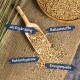 Eine Holzschaufel mit Samen, die auf Jute fällt, mit Etiketten für "als Ergänzung," "Ballaststoffe," "Kohlenhydrate," und "Energiequelle."