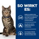 Getigerte Katze mit blauem Halsband hebt eine Pfote neben einer blauen Tafel mit der Aufschrift „SO WIRKT ES:“ und deutschen Produktinformationen zur Gewichtskontrolle.