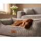 Brauner Hund schläft in einem grauen Cordstoff-Haustierbett mit Lederetikett mit der Aufschrift 'KNUFFELWUFF', Sofa und Blumen im Hintergrund.