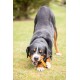 Ein schwarz-brauner Hund kaut auf einem Kauknochen, während er auf grünem Gras liegt, mit einem konzentrierten Ausdruck im Gesicht.