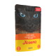 Ein Katzenfutterbeutel mit einer Nahaufnahme des Gesichts einer schwarzen Katze mit auffälligen blauen Augen, beschriftet mit "Josera Pures Huhn" und "Filet" in Rot und Orange.