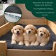 Drei Golden‑Retriever‑Welpen auf dunkelgrauem Medbed in einer Holzkiste; sichtbare Texte: 'medbed' und 'Feuchtigkeitsdurchlässig'.