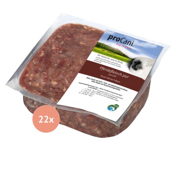Ein quadratisches weißes Geschirr, gefüllt mit rohem, fein gehacktem rotem Fleisch, auf einer Holzoberfläche platziert.