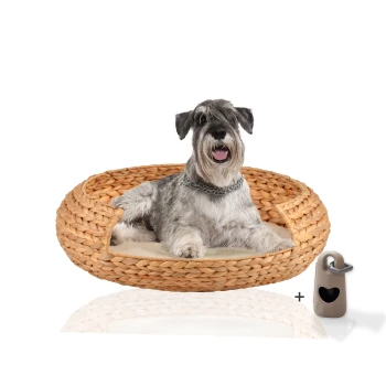 ® runder Hundekorb aus geflochtener Wasserhyazinthe, Hundesofa für kleine, mittelgroße und große Hunde Ein glücklicher grauer Schnauzer, der in einem runden, geflochtenen Haustierbett mit einem weichen Kissen entspannt, begleitet von einem kleinen beigen Haustierzubehör.