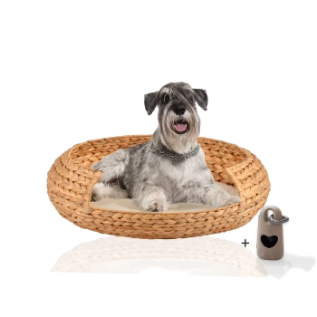 Ein glücklicher grauer Schnauzer, der in einem runden, geflochtenen Haustierbett mit einem weichen Kissen entspannt, begleitet von einem kleinen beigen Haustierzubehör.