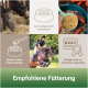 Bild von Pferden in Ställen, Pferdefutter in einer Schüssel mit Karotten und einem Reiter auf einem Pferd. Text: "Empfohlene Fütterung" und Fütterungsanweisungen.