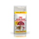 Sac de nourriture pour chat Royal Canin, 12 kg, avec une illustration de chat brun, avec le texte "10KG+2KG GRATUIT" et "Regular FIT 32".