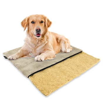 Golden Retriever liegt auf einem beigen Haustierbett mit abnehmbarem, strukturiertem Bezug, dargestellt vor weißem Hintergrund.