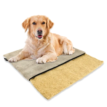Golden Retriever liegt auf einem beigen Haustierbett mit abnehmbarem, strukturiertem Bezug, dargestellt vor weißem Hintergrund.
