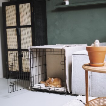 Eine schwarze Draht-Haustierbox mit einem weichen beigen Bezug, teilweise geöffnet, steht in einem modernen Wohnzimmer neben einem grauen Sofa und einer Topfpflanze.