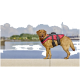 Brauner Hund in roter Schwimmweste mit schwarzen Gurten steht auf einer Betonkante am ruhigen Wasser; im Hintergrund Windräder.