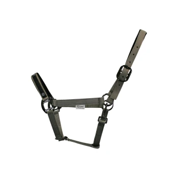 Ein graues verstellbares Haustiergeschirr mit einem robusten Design, mit Metall-Schnallen und einem Etikett, das 'Quest' liest.