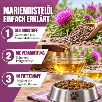 Ein kastanienbraunes Pferd mit einem weißen Stern auf der Stirn steht zwischen hohem Gras und bunten Wildblumen, umgeben von einer üppig grünen Landschaft.
