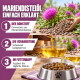 Ein kastanienbraunes Pferd mit einem weißen Stern auf der Stirn steht zwischen hohem Gras und bunten Wildblumen, umgeben von einer üppig grünen Landschaft.