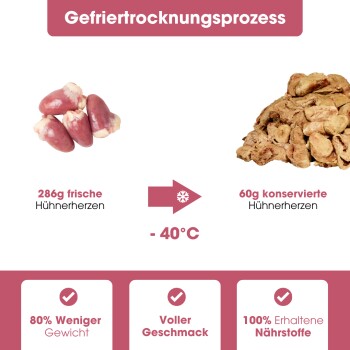 Glas mit Hundeleckerlis, beschriftet mit "100% Huhn," 68% Protein, mit einem Hühnersymbol und deutschem Text zu Zutaten und Fütterungstipps.