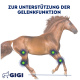 Blauer Hintergrund mit "Spezielle Zusammensetzung", Icons für MSM, D-Glucosamin, Hyaluronsäure und einen Messlöffel, mit GIGI-Logo.