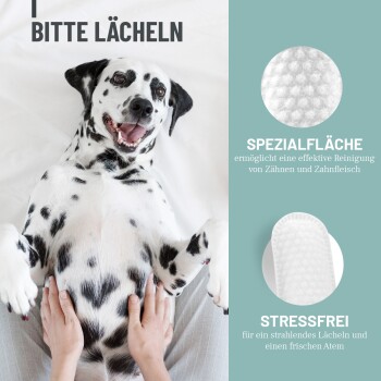 Dalmatiner liegt auf dem Rücken mit den Pfoten auf dem Bauch, deutscher Text über spezielle Reinigungsoberfläche und stressfreie Zahnpflege.