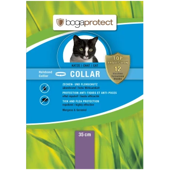 Schwarz-weiße Katze auf einer blau-grünen Verpackung für einen Zecken- und Flohschutzkragen, mit Text in mehreren Sprachen.