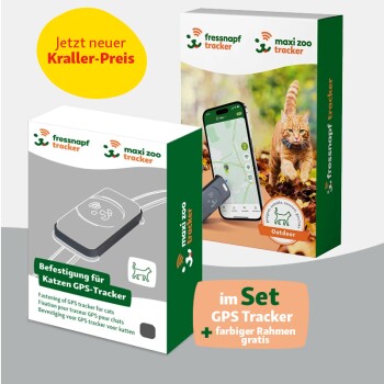 GPS-Tracker für Katzen + Befestigung grau/ schwarz