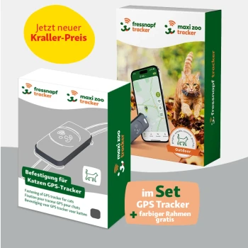 GPS-Tracker für Katzen + Befestigung grau/ schwarz Bild eines GPS-Trackers für Katzen und einer Befestigungsvorrichtung. Text: "Jetzt neuer Kraller-Preis" und "Set: GPS Tracker + Rahmen gratis."