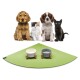 Vier Haustiere, darunter zwei Hunde, eine Katze und ein schwarzes Kätzchen, sitzen vor zwei Futternäpfen auf einer grünen Matte.