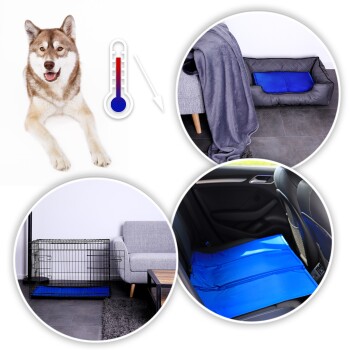 Ein Husky liegt auf einer kühlen blauen Haustiermatte, umgeben von Bildern der Matte in einem Hundebett, einer Kiste und einem Autositz, die Komfort fördern.