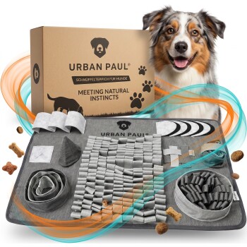 Australian Shepherd mit Pfoten auf grauer URBAN PAUL Schnüffelmatte mit Stofffütterern, grüner Farbklecks-Hintergrund.