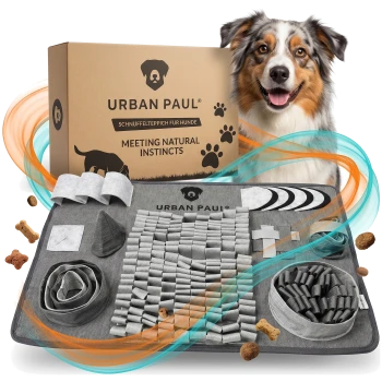 Australian Shepherd mit Pfoten auf grauer URBAN PAUL Schnüffelmatte mit Stofffütterern, grüner Farbklecks-Hintergrund.