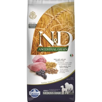 Hundefutterbeutel mit 'N&D Ancestral Grain' für erwachsene mittelgroße und große Hunde, mit Lamm, Dinkel, Hafer und Heidelbeeren.