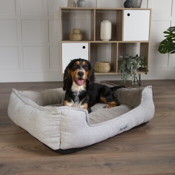 Ein Hund, der bequem in einem stilvollen grauen Hundebett ruht, mit einem modernen Regal und dekorativen Gegenständen im Hintergrund.