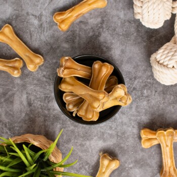 Eine schwarze Schüssel, gefüllt mit hundeknochenförmigen Leckerlis, umgeben von weiteren Knochenleckerlis und einem weißen Seilspielzeug, mit einer kleinen grünen Pflanze in einem geflochtenen Topf.