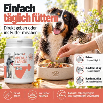 Eine Meeresschildkröte schwimmt unter Wasser, mit einer Plastiktüte in der Nähe ihres Gesichts. Der Text lautet: "1 KG FÜR 2 KG PLASTIK AUS DEM MEER" und "PLASTIKFREIER PLANET".