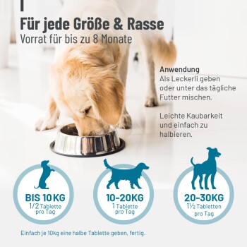 Eine Collage von einer Person mit einer Katze, einer Person, die einen Hund streichelt, und einer Person mit einem Pferd, mit dem Text "NATURPRODUKTE."